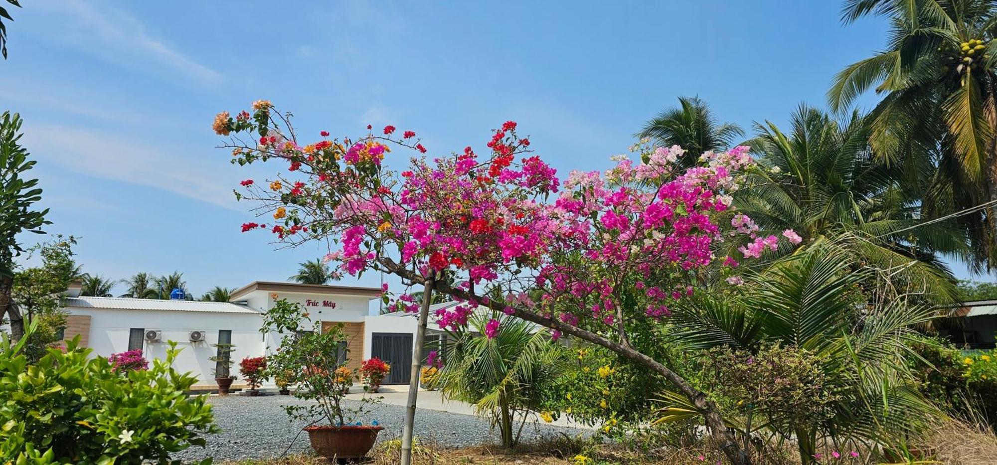 Nha Nghi Truc May Ben Tre Екстериор снимка